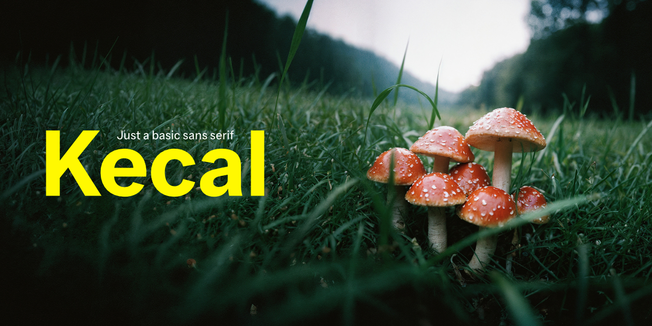 Kecal